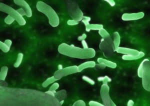 3d rendering of a group of green bacteria
